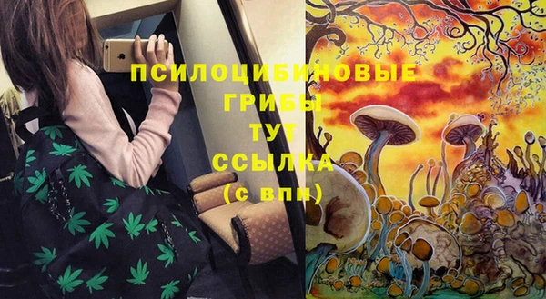 PSILOCYBIN Грязовец