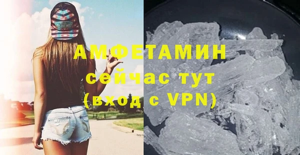 дживик Гатчина