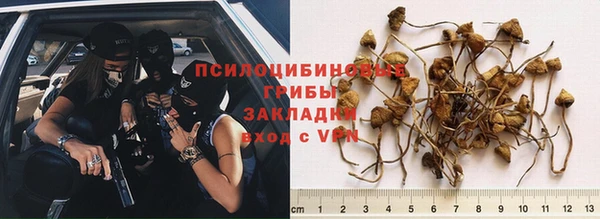 mdpv Аркадак